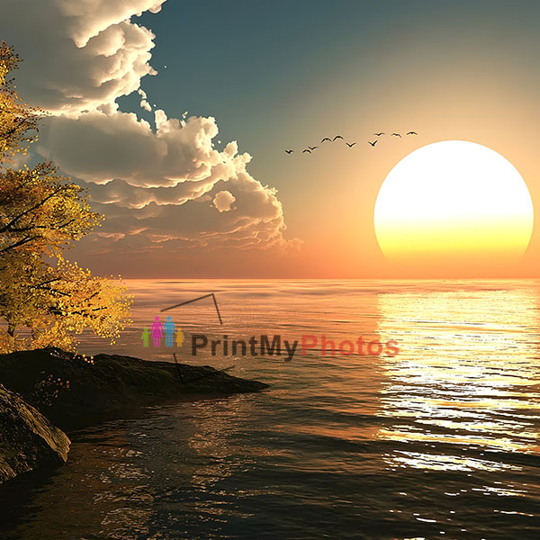 Rising Sun - New Beginnings, Hope, Vitality, Success